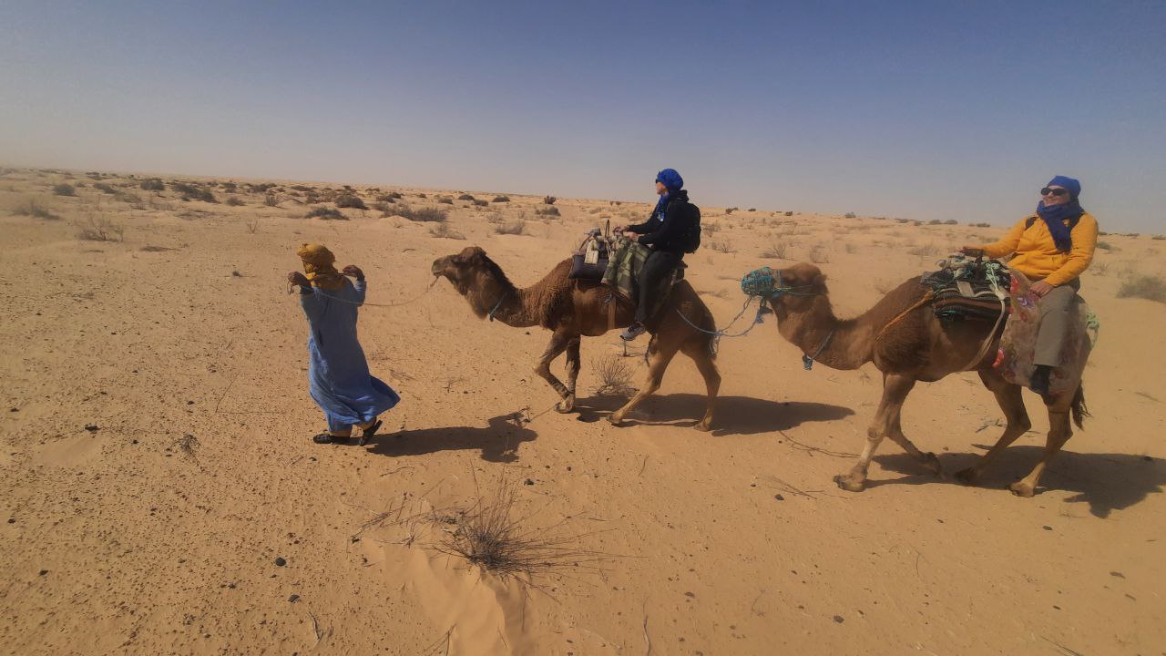 Photo n° 3 de l'avis de Myriam.i fait le 13/03/2024 à 18:44
