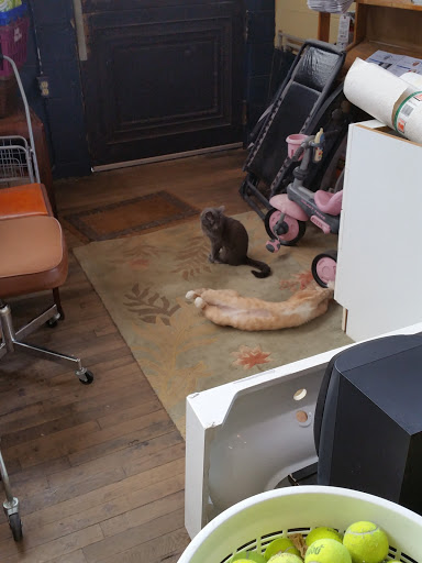 Thrift Store «Second Chances Thrift Store», reviews and photos, 49 Glendale Ave, Asheville, NC 28803, USA