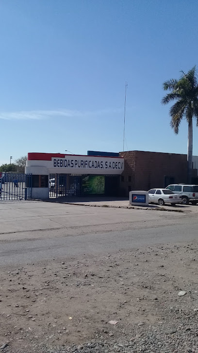 Pepsi Obregon Distribución Asistida