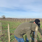 Photo n° 4 de l'avis de Adriane.i fait le 28/01/2024 à 22:36 pour Château Prieuré de Beyzac à Vertheuil