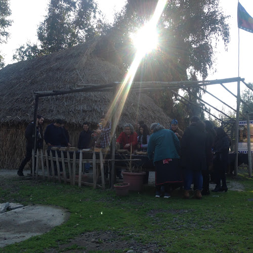 Asociación Indígena Mapuche Taiñ Adkimn - La Pintana