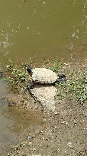 Zoo «Little Ponderosa Zoo and Rescue», reviews and photos, 629 Granite Rd, Clinton, TN 37716, USA