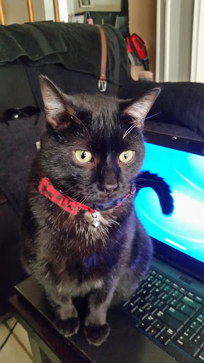 Computer Repair Service «Best Tech Computer Services», reviews and photos, 1510 Veterans Memorial Blvd, Metairie, LA 70005, USA