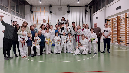 Taekwondo Lugano Arti Marziali