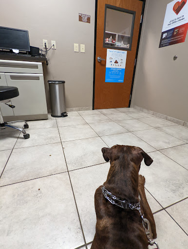 Twin Peaks Veterinary Center image