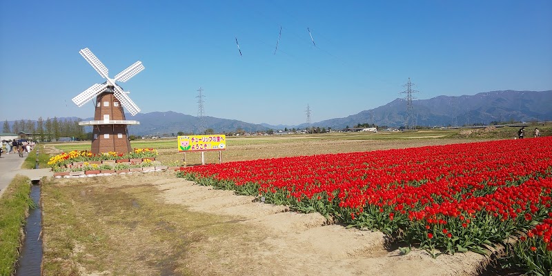 新潟県花卉球根農業協同組合