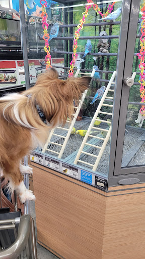 Pet Supply Store «Petco Animal Supplies», reviews and photos, 1605 Beltline Rd SW, Decatur, AL 35601, USA