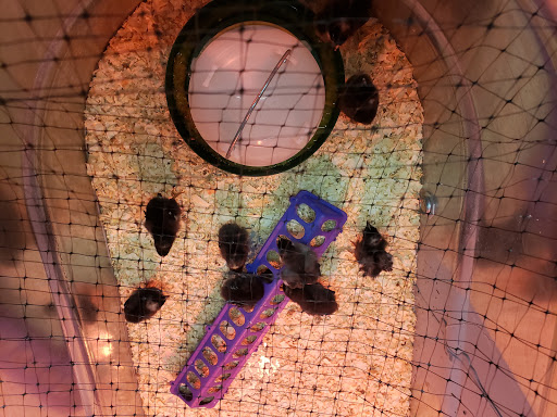 Department Store «Runnings of Brockport», reviews and photos, 4828 Lake Rd N, Brockport, NY 14420, USA