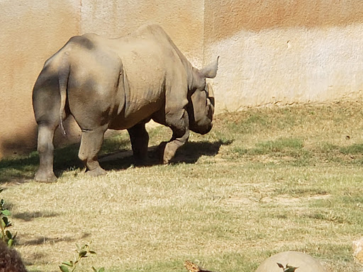 Zoo «Caldwell Zoo», reviews and photos, 2203 W Martin Luther King Jr Blvd, Tyler, TX 75702, USA