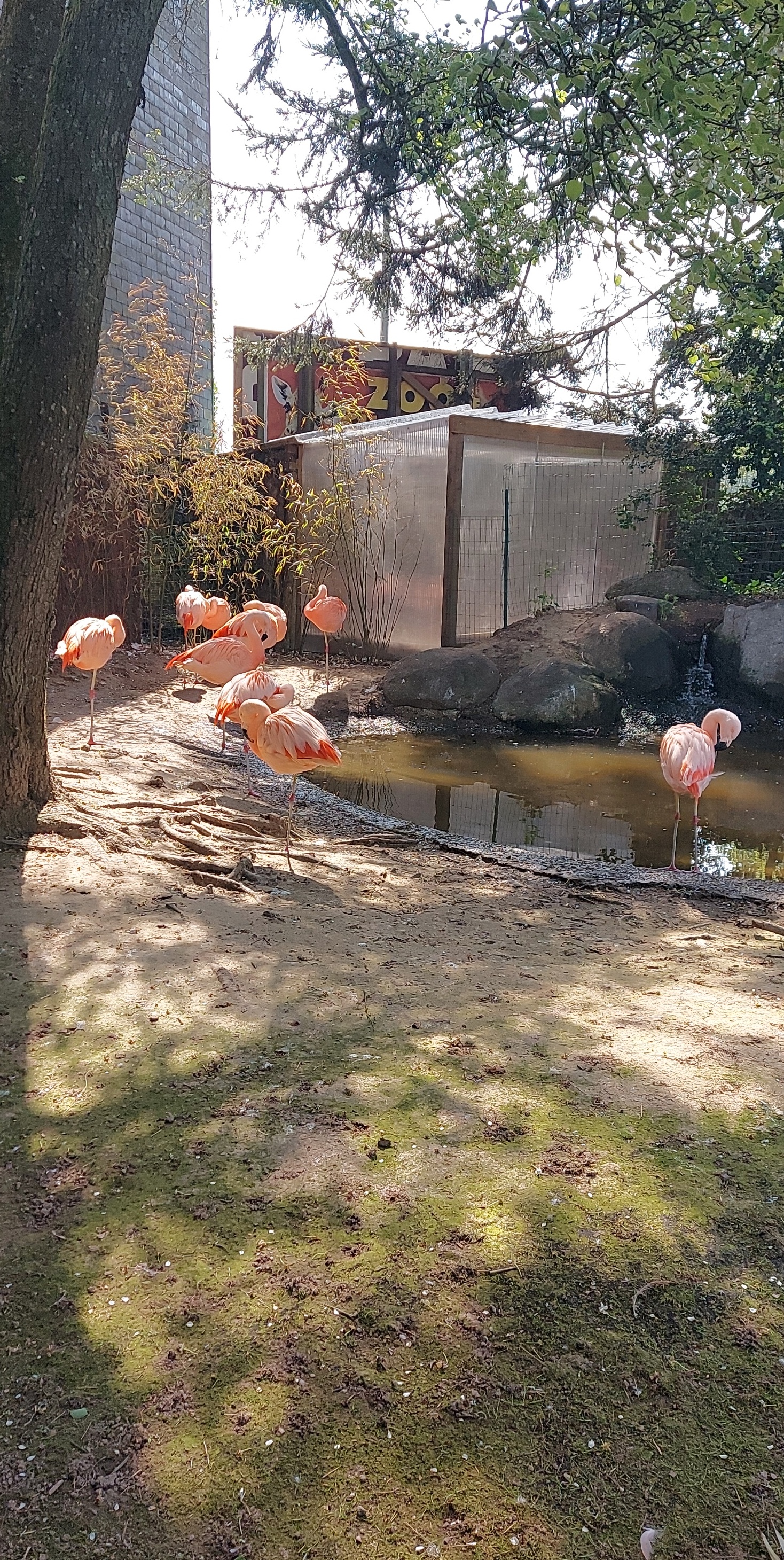 Photo n° 15 de l'avis de Mél.i fait le 21/04/2022 à 16:37
