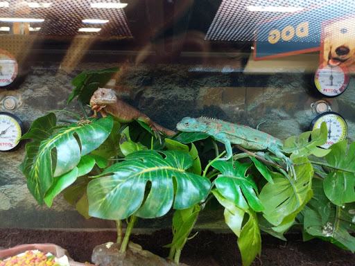 Pet Supply Store «Petco Animal Supplies», reviews and photos, 1753 St Lucie W Blvd, Port St Lucie, FL 34986, USA