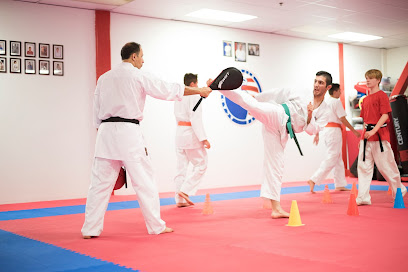 Tajik Karate Academy - Adults, Kids Martial Arts