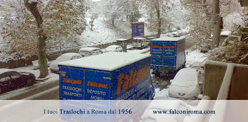 Transport companies Roma