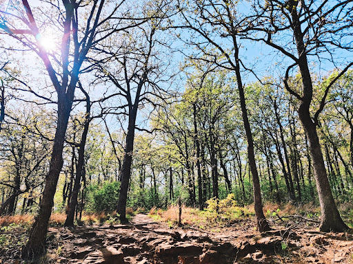 Two Rivers Trail