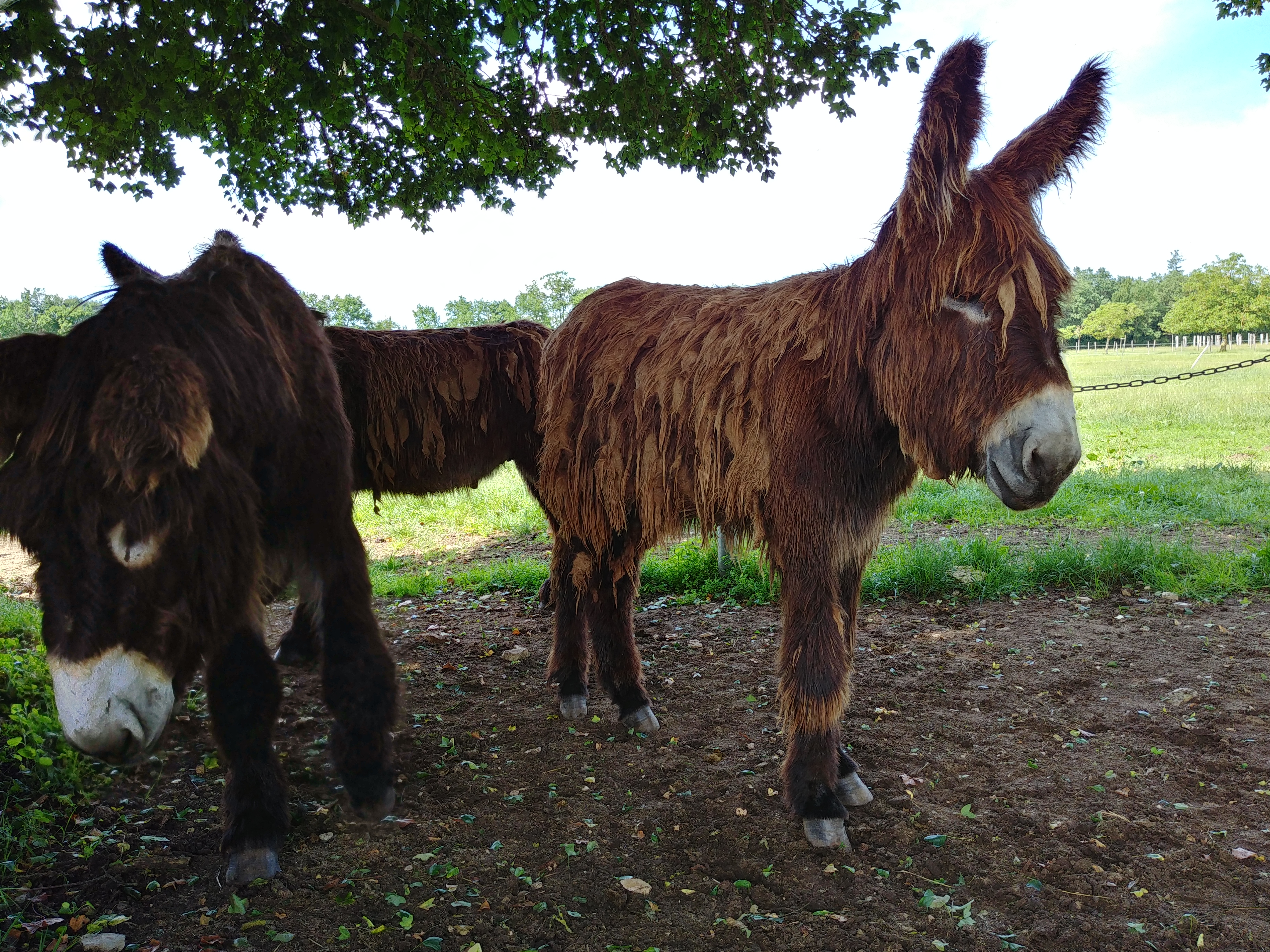 Photo n° 3 de l'avis de Damien.A fait le 04/06/2018 à 09:39