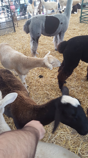 Amusement Park «Canobie Lake Park», reviews and photos, 85 N Policy St, Salem, NH 03079, USA