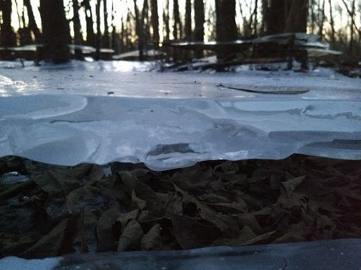 Park «Arthur K Draut Park», reviews and photos, Bowling Blvd, St Matthews, KY 40207, USA