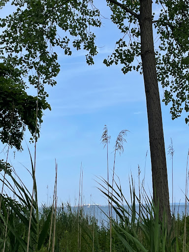 Park «Henry Hudson Trail / Popamora Point», reviews and photos, Shore Dr, Atlantic Highlands, NJ 07716, USA