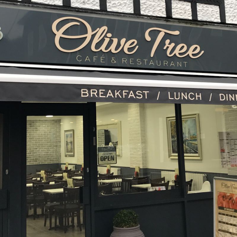 Olive Tree Cafe & Restaurant