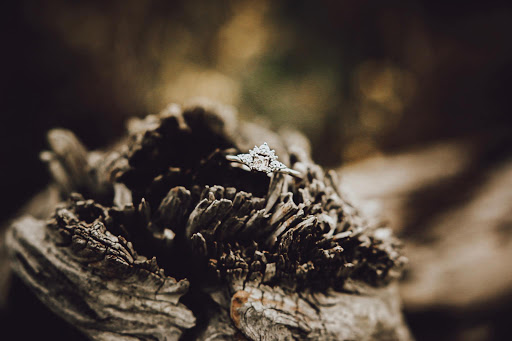 Jeweler «Tavernays Jewelers», reviews and photos, 4412 Wrightsville Ave, Wilmington, NC 28403, USA