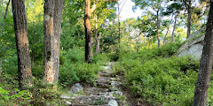 Blue Hills - Skyline Trail