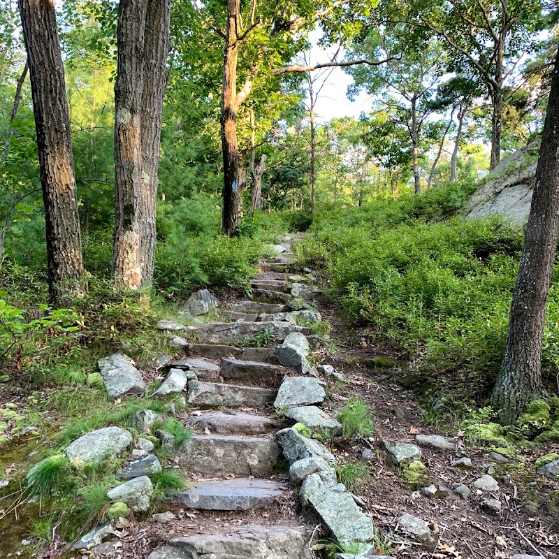 Blue Hills - Skyline Trail