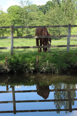 Haras De La Belletière à Mélicourt