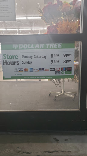 Dollar Store «Dollar Tree», reviews and photos, 14804 Olympic Dr, Clearlake, CA 95422, USA