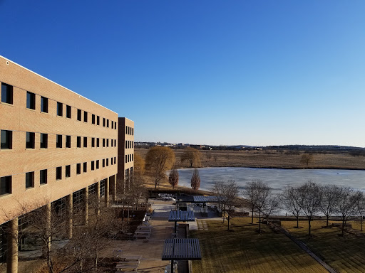 Insurance Company «American Family Insurance», reviews and photos