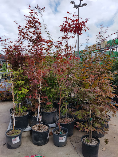 Home Improvement Store «The Home Depot», reviews and photos, 1100 Liberty Park Dr, Hurricane, WV 25526, USA