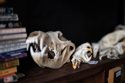 Explore daughter tattoo ideas, creative tattoo ideas in Buffalo, available at True Gloom Tattoo Studio