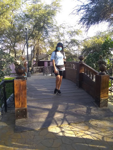 Opinii despre Paracas Beach Travel în Ica - Agencia de viajes