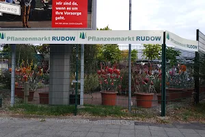 Pflanzenmarkt Rudow H Schriever u B Rutten GbR image