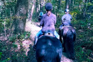 Mohican State Park - Bridle Trail Parking image