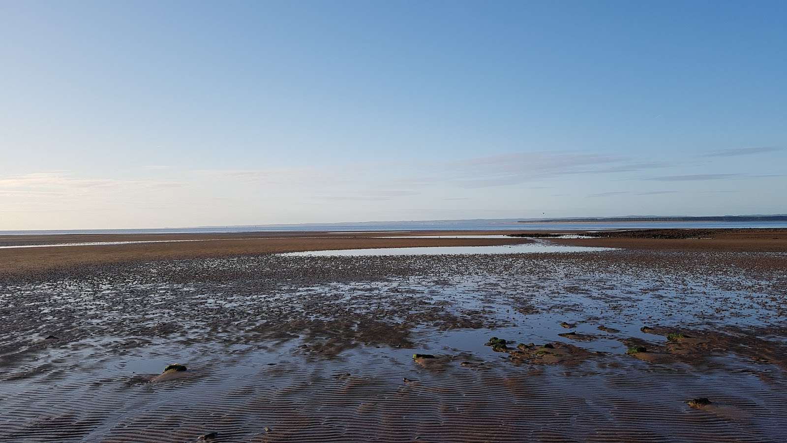 Photo de Angus Beach avec l'eau cristalline de surface