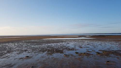 Angus Beach photo #2