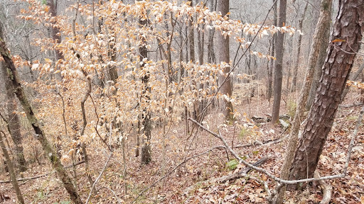 Tourist Attraction «Vickery Creek Falls Roswell Mill», reviews and photos, 95 Mill St, Roswell, GA 30075, USA