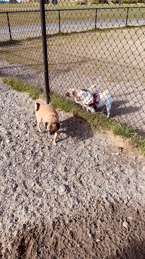 Public Golf Course «Chambers Bay», reviews and photos, 6320 Grandview Dr W, University Place, WA 98467, USA
