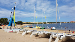 Plage La Sauvagine Port d'Albret Soustons'in fotoğrafı çok temiz temizlik seviyesi ile