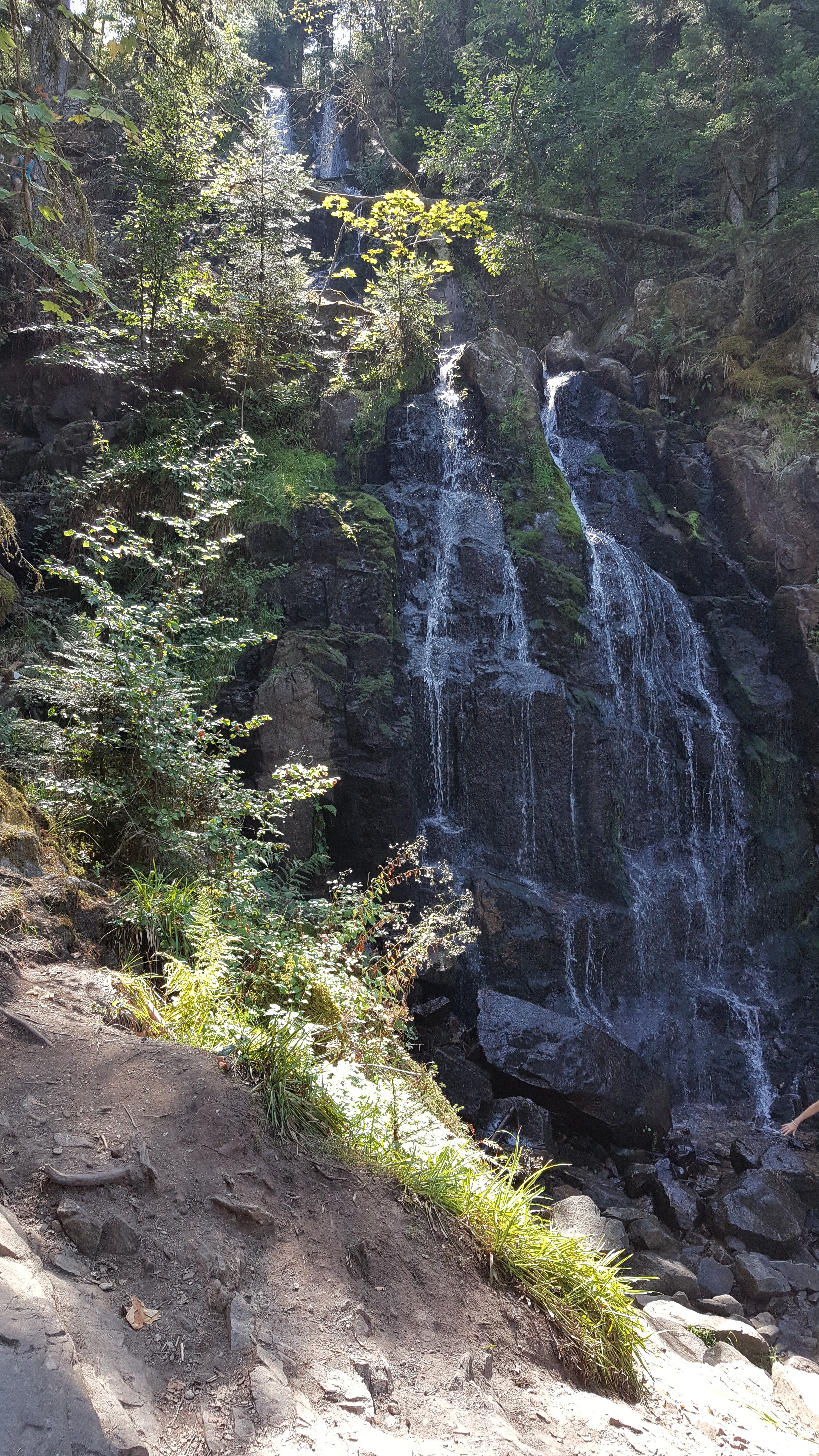 Photo n° 1 de l'avis de JACKY59. fait le 22/08/2018 à 16:36