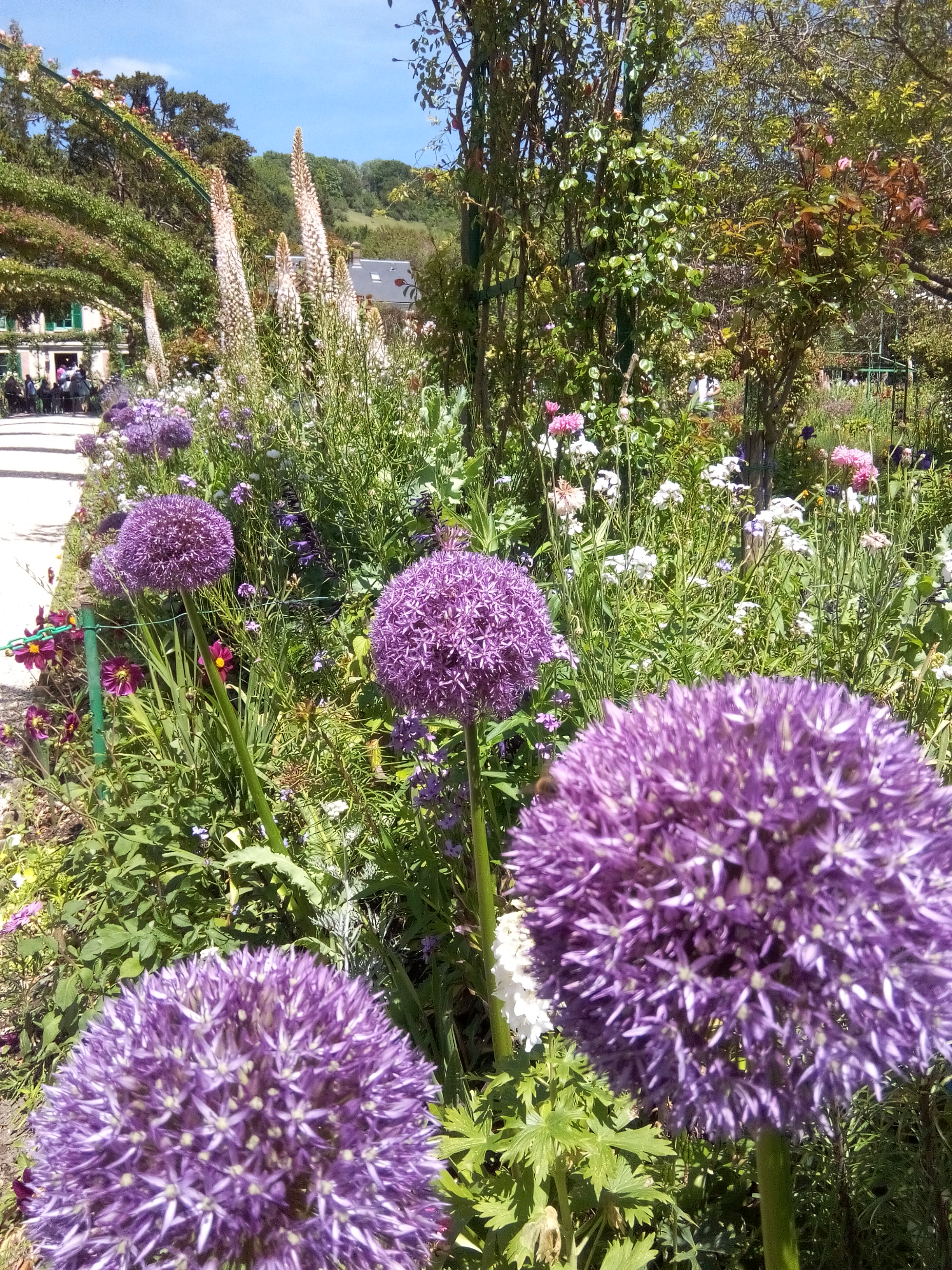 Photo n° 28 de l'avis de M. fait le 02/06/2019 à 08:14