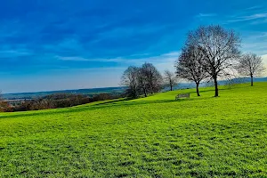 Colwick Woods Local Nature Reserve image