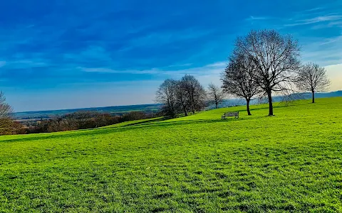 Colwick Woods Local Nature Reserve image