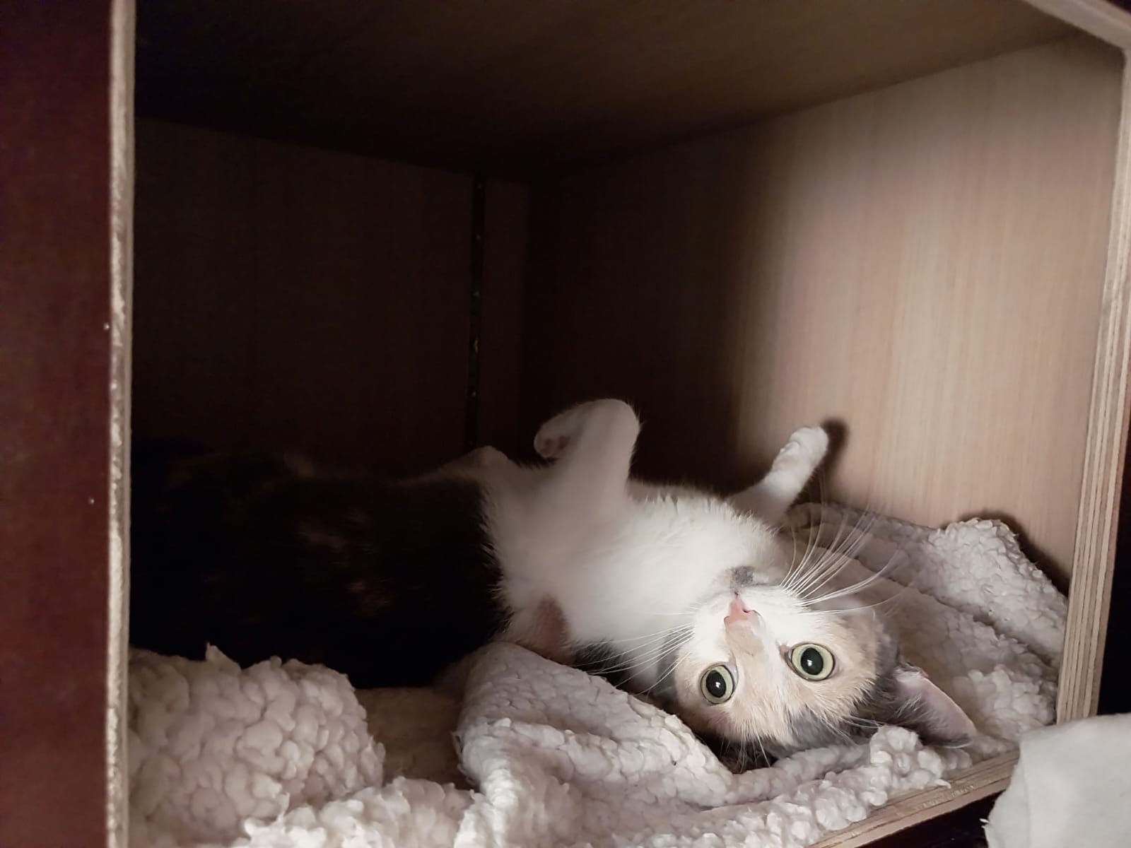 Photo n° 3 de l'avis de Deydey. fait le 28/11/2023 à 13:37