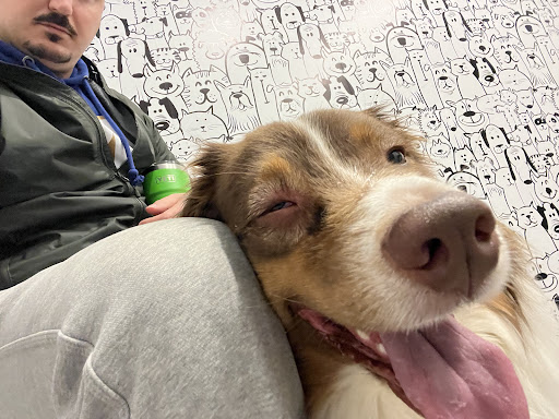 Aldergrove Animal Clinic image
