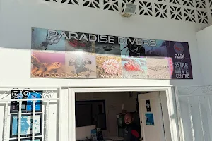 Paradise Divers - PADI 5 Star Instructor Development Centre image