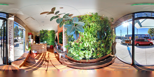 Spa «Suchada Herbal Spa», reviews and photos, 2 Division St, San Francisco, CA 94103, USA
