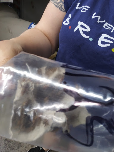 Pet Supply Store «Pet Club Santa Rosa», reviews and photos, 1935 Santa Rosa Ave, Santa Rosa, CA 95407, USA