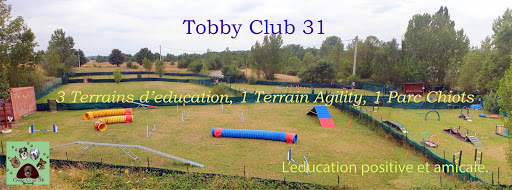 Tobby Club 31