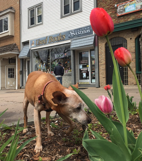 Used Book Store «Paperbacks Plus Book Store», reviews and photos, 2539 7th Ave E, St Paul, MN 55109, USA